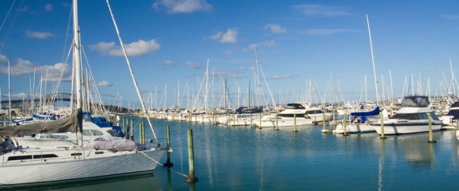 iStock_000003070339Small.jpg